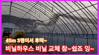 참~쉬운 비닐하우스 비닐 씌우기~비닐하우스 시공 수리~귀농귀촌 전원일기