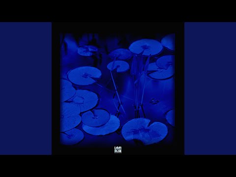 Video thumbnail for Aquatic Life