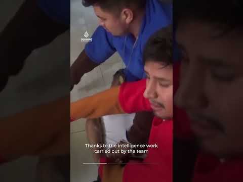 Peruvian police dress as World Cup mascots to fool suspected drug dealer | AJ #shorts