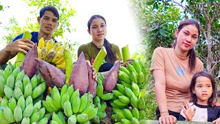 Harvesting bananas to sell at the market | cooking| peaceful days