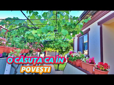 CUM AM GĂSIT PENSIUNEA DUPĂ 3 LUNI DE VOIAJ...