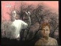 Nits - Home before dark 