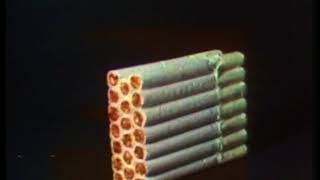 ashtray ballet