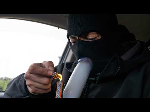 The World's Weirdest Weed Culture (New Zealand)