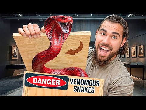 Unboxing the World's Deadliest Snake!