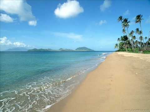 Coconut Boys - Goodbye Hawai