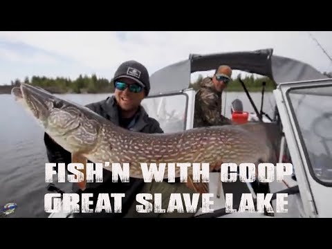 FNA ADVENTURES - Teaser - GREAT SLAVE LAKE - Sight Fishing Giant Pike