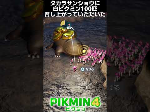 タカラサンショウに白ピクミン100匹召し上がっていただいた #shorts #ピクミン4