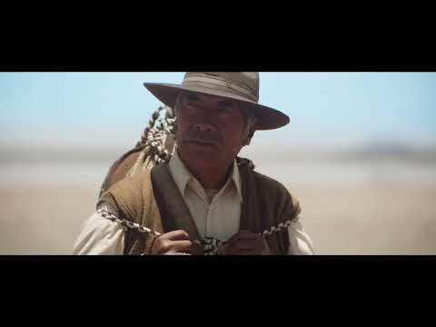 Trailer | BIFF2022 우타마, 우리집 UTAMA | 월드 시네마 예고편