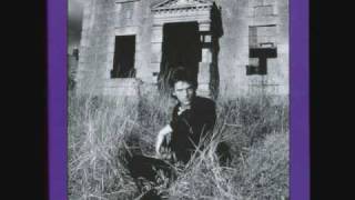 Robyn Hitchcock - Toadboy