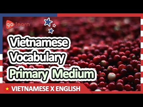 Learn Vietnamese |Part 5: Vietnamese Vocabulary Primary medium | Goleaen