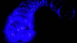 juicy ~ the rh factor w/ renee neufville