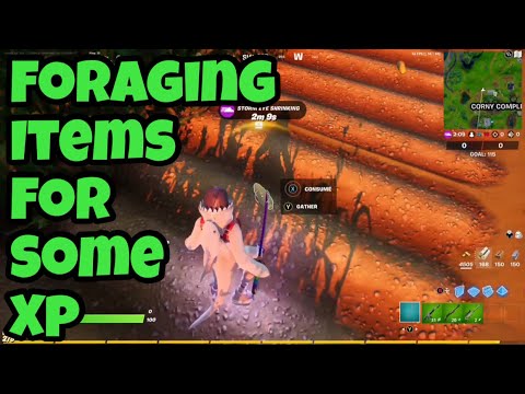 Collect Foraged Items At Corny Complex (Week 14 Epic Quest Guide)