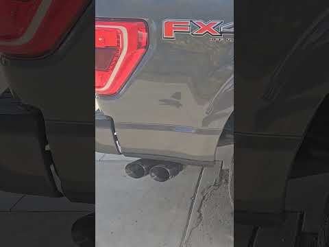 F150 5.0 Corsa Sport Rev