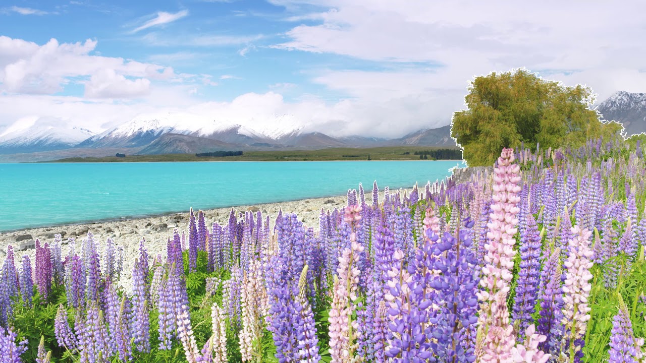 YouTube-Video: Vorschau-Bild