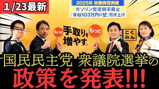 【最新 国民民主】衆議院選挙における政策を大発表！