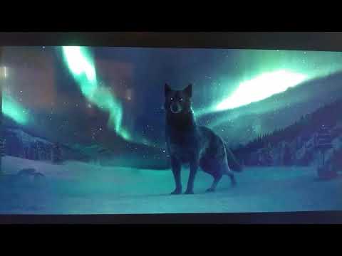 The Call of the Wild (2020) - Ghost Wolf of Dreams Screen-Time