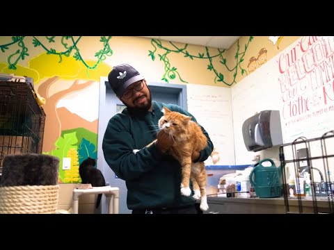 Day in the Life - Animal Care Attendant