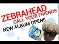 ZEBRAHEAD / CALL YOUR FRIENDS arrived ...