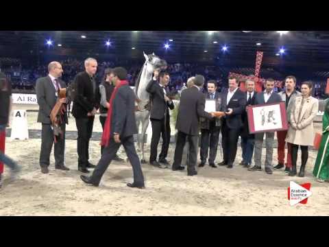 2nd place-N.105 EQUIBORN KA - Paris 2015 - Junior Colts Championship (Class CM11)