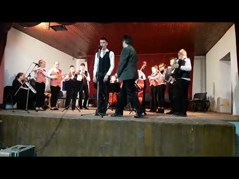 Orchestrík ZŠ Jána Kollára zo Selenče - sólista Karlo Kováč - U susedov, tam je topoľ