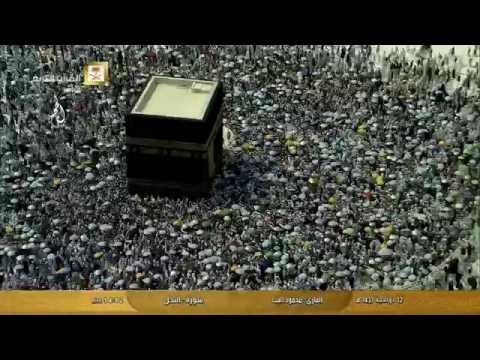 Awesome colorful scene of Kabba during Hajj 2016-1437