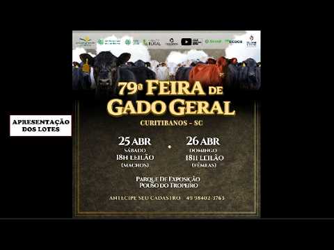 Apresentação dos Lotes da 79ª Feira de Gado Geral de Curitibanos - Etapa 1