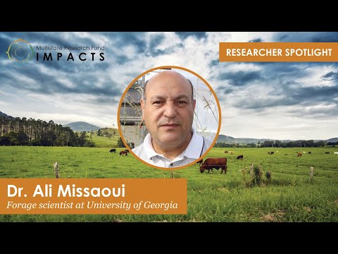 Researcher Spotlight: Ali Missaoui