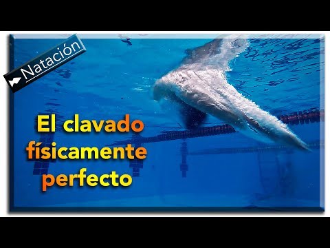 How to Dive Perfectly :: Swimming Physics Part 4 :: Exits