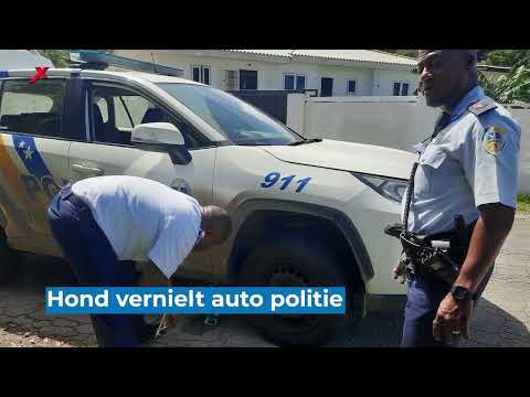 EXTRA JOURNAAL 30 NOVEMBER 2022