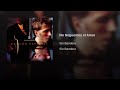 No Neguemos El Amor - Sin Bandera