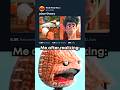Cursed Pixar Theory