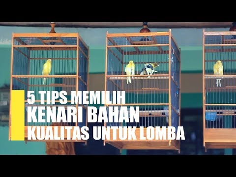 Beberapa rumput mengurangi potensi laki-laki Bahwa tuangkan gadis itu untuk mengubah dirinya
