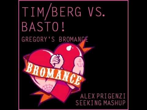 Tim Berg Vs. Basto! - Gregory's Bromance (Alex Prigenzi Seeking Mashup)