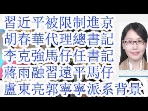 习近平被限制进京。胡春华代理总书记态势明显，提拔两个李克强马仔任省委副书记。哈佛蒋雨融是习远平国际节能环保协会的马仔。卢东亮和郭宁宁派系背景。