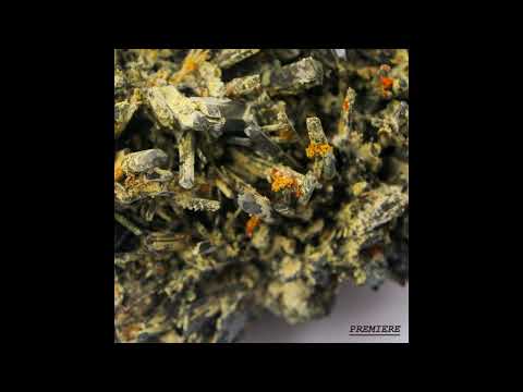 Premiere: Valentin Ginies - X