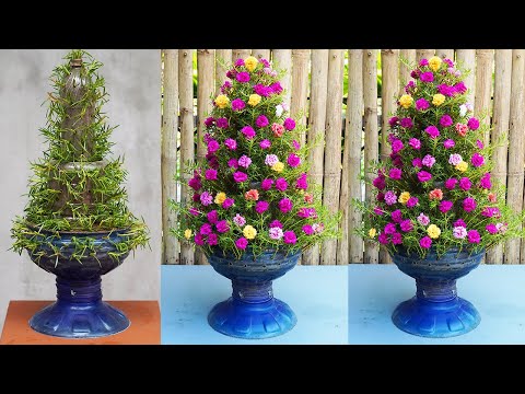 , title : 'How To Make A Beautiful Christmas Tree Garden With Flowers'