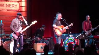 Toadies - Heart of Glass Blondie Cover  Nashville 11/6/15