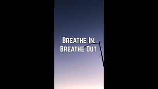 Hilary Duff - Breathe In. Breathe Out. (Vertical Lyric Video)