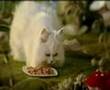 Fancy Feast Commercial 2008