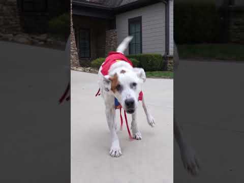 Never too late to reflect on 2022 with fondness! #2022 #gamers #boardgames #beziergames - YouTube