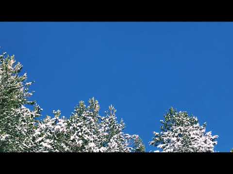 Kleidy ft Iso-Double Shoot ( Official video)