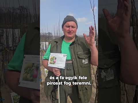 Körte fajtaajánló: Vilmos és Clapp, kettő az egyben videó