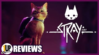 《Stray》:扮演猫的游戏