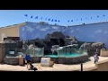 Long Island Aquarium Sea Lion Show