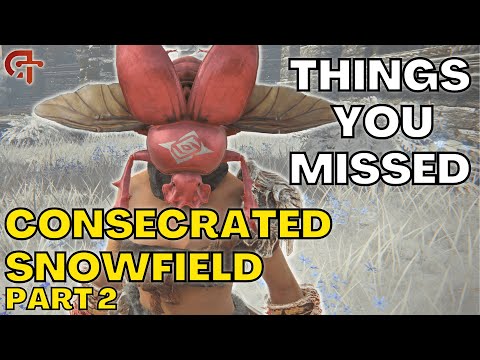 The Top Things You Missed In the CONSECRATED SNOWFIELD [Part 2]!  - Elden Ring Tutorial/Guide