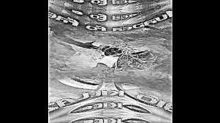 Bio Killaz - Don&#39;t Move(Promo Video)