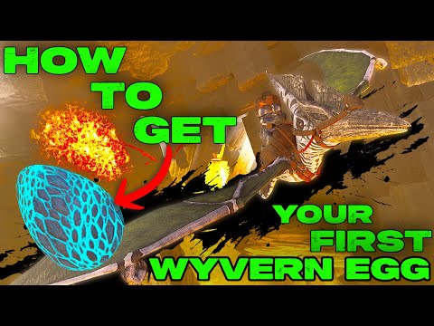 How To Get YOUR FIRST WYVERN EGG in Ark Survival Ascended On RAGNAROK!!!