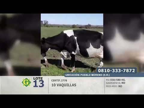 Lote Vaquillas en Pueblo Moreno (E.Rios)