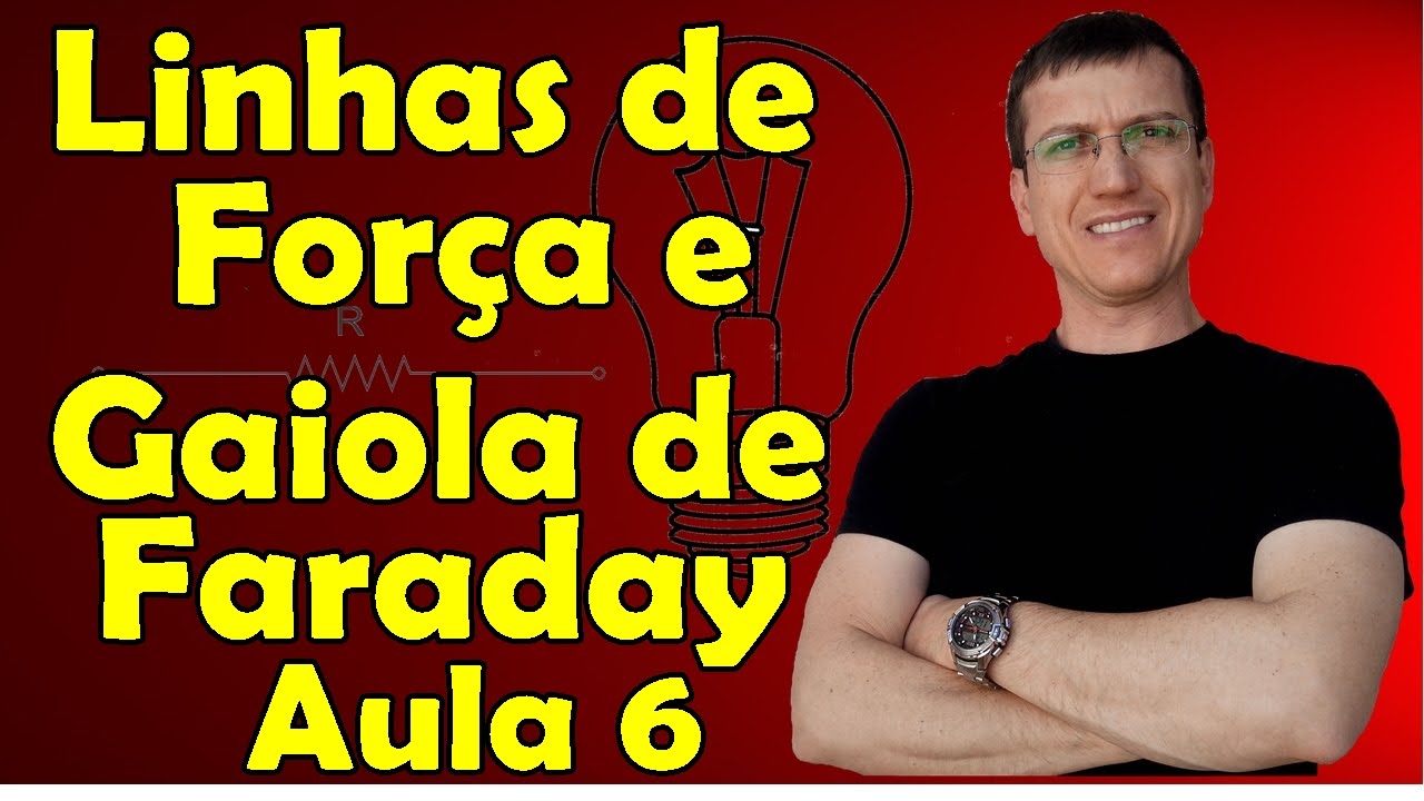 LINHAS DE FORÇA E GAIOLA DE FARADAY - ELETROSTÁTICA - AULA 6 - Prof.  Marcelo Boaro
